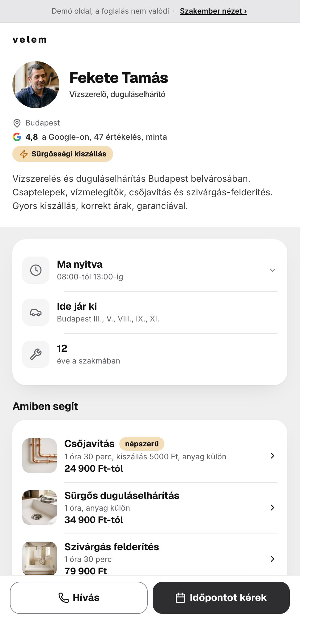 Egy vízszerelő és duguláselhárító kész foglalási oldala a telefonon: 4,8-as értékelés, bemutatkozás, Időpontot kérek és Hívás gomb, a budapesti kerületek, ahol dolgozik, és a nyitvatartás.